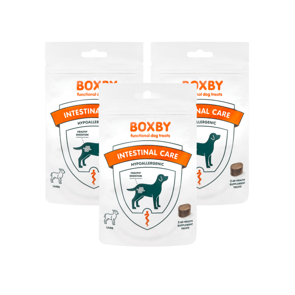 Boxby - zestaw 3x100g - Functional Intestinal care / z prebiotykami