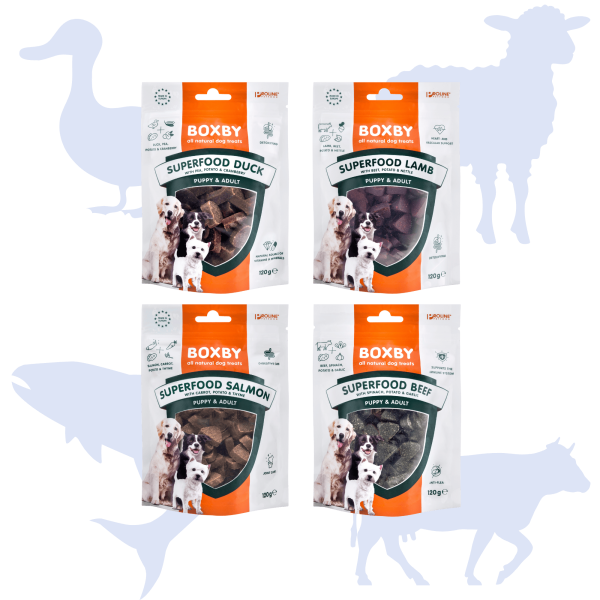 Boxby - MIX 4x120g - Superfood Duck- Salamon-Lamb-Beef