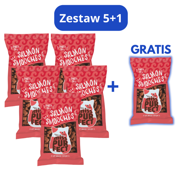 Miss Purfect - zestaw 6x100g - Salmon pillow