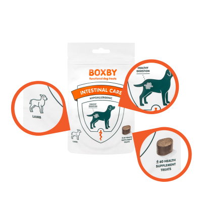 Boxby - Functional Intestinal care / z prebiotykami 100g