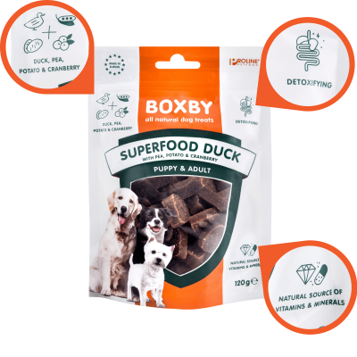 Boxby - Superfood Kaczka groszek żurawina 120g