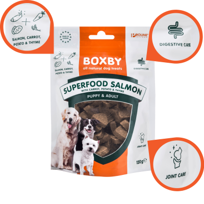 Boxby - Superfood Łosoś Marchew Tymianek 120g