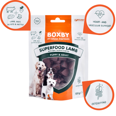 Boxby - Superfood Jagnięcina Burak Pokrzywa 120g