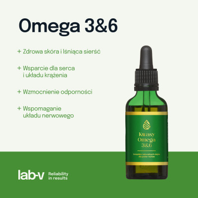 Lab-V - Kwasy Omega 3&6 50ml - Kompleks naturalnych olejów dla psów i kotów
