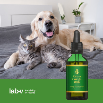 Lab-V - Kwasy Omega 3&6 50ml - Kompleks naturalnych olejów dla psów i kotów