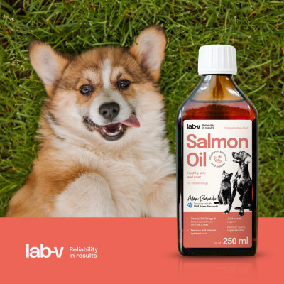 Lab-V - Salmon Oil Olej z łososia 100% dla psa i kota 250 ml w szklanej butelce