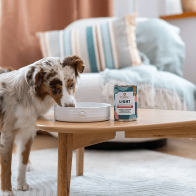 Perro - Jeleń z warzywami LIGHT – monobiałkowa 800g