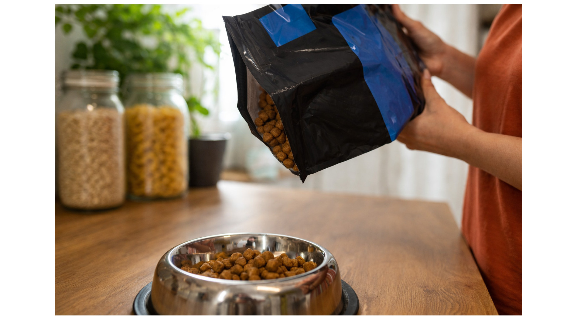 Jak czytać skład karmy dla psa? Kompletny przewodnik dla właścicieli